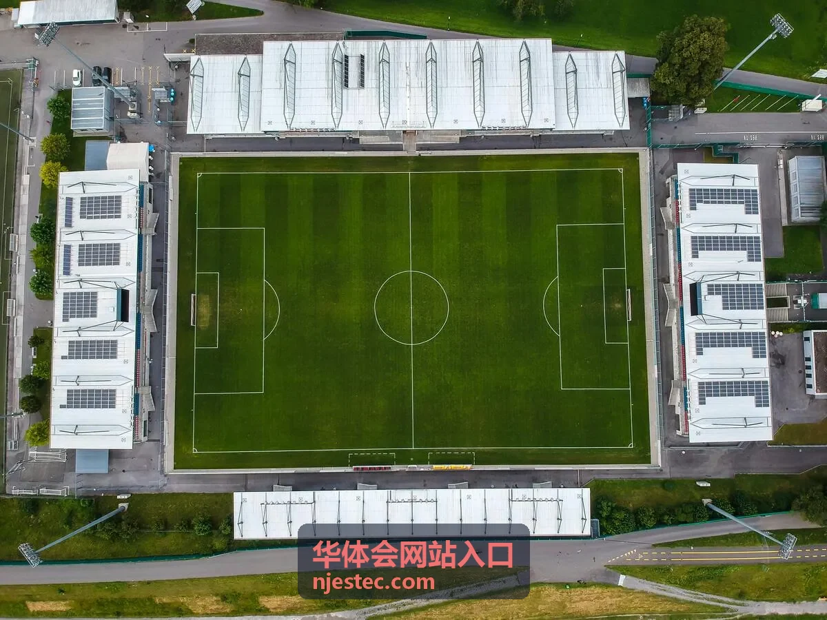 华体会网站入口新手常见问答分类图