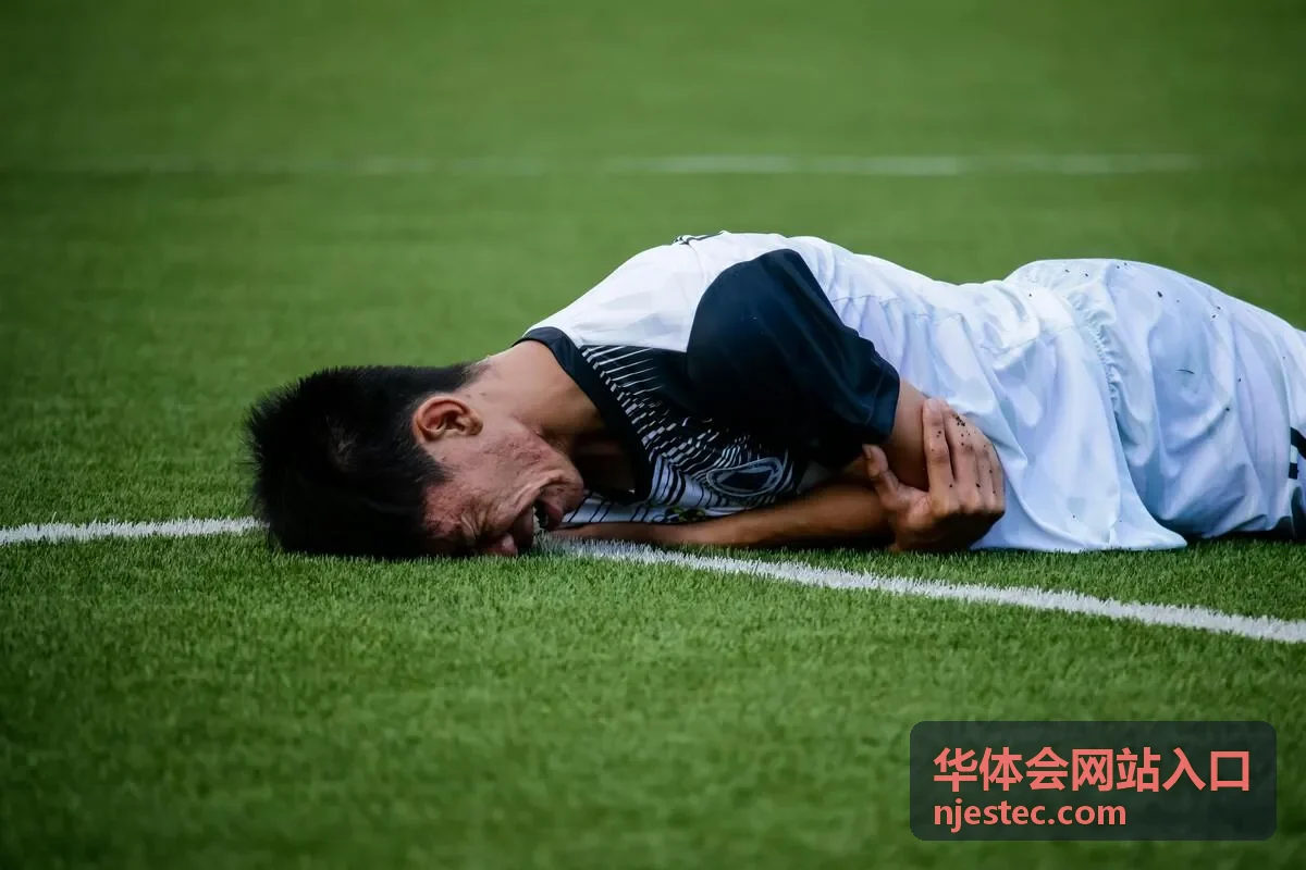 华体会网站入口安全辨别核实分类卡片
